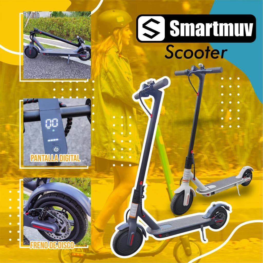 Scooter Eléctrico Profesional 350W