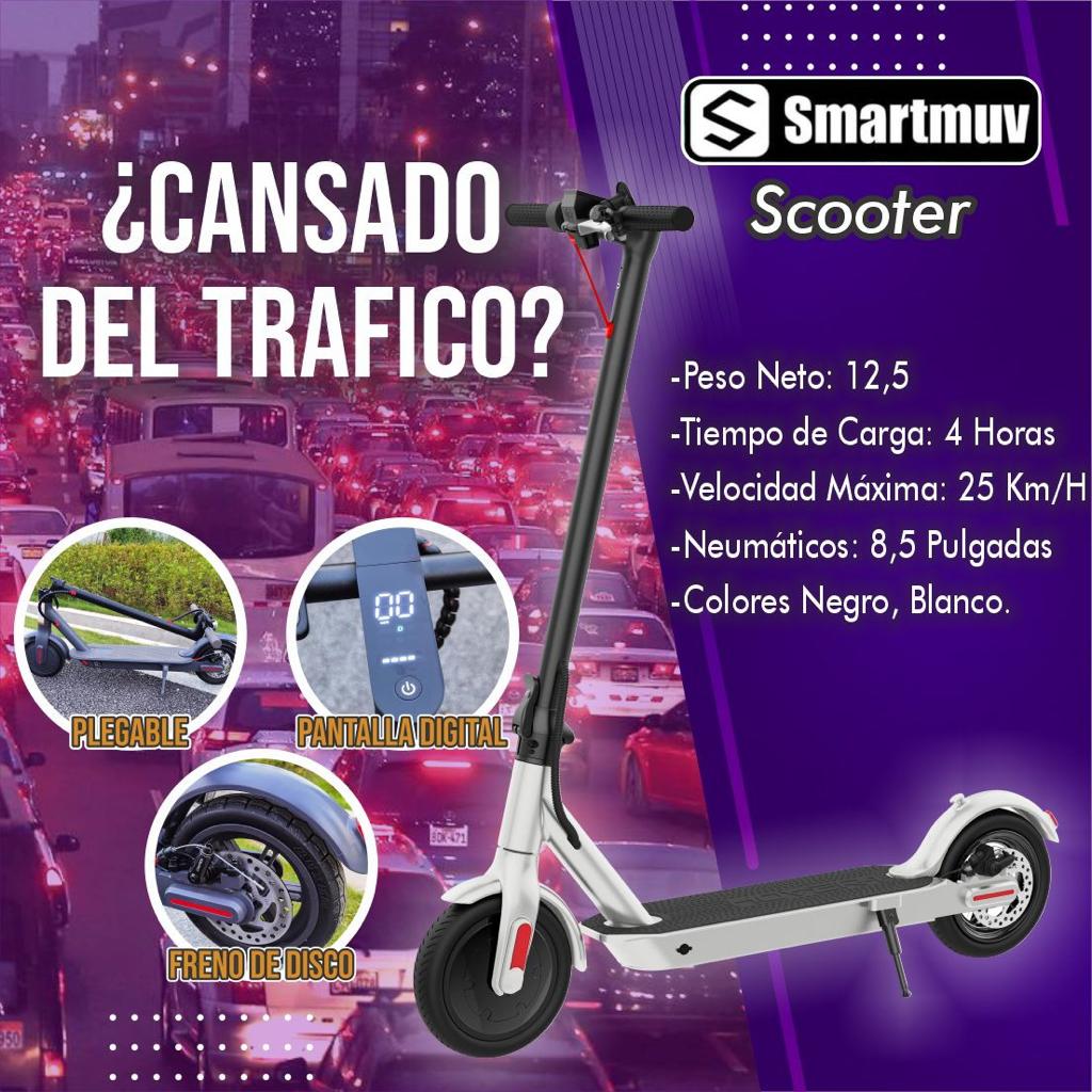Scooter Eléctrico Profesional 350W