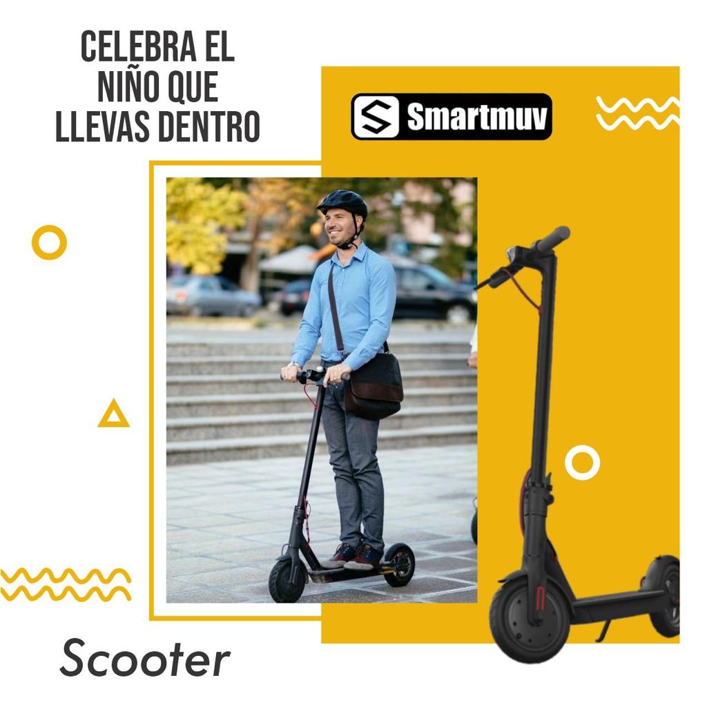 Scooter Eléctrico Profesional 350W