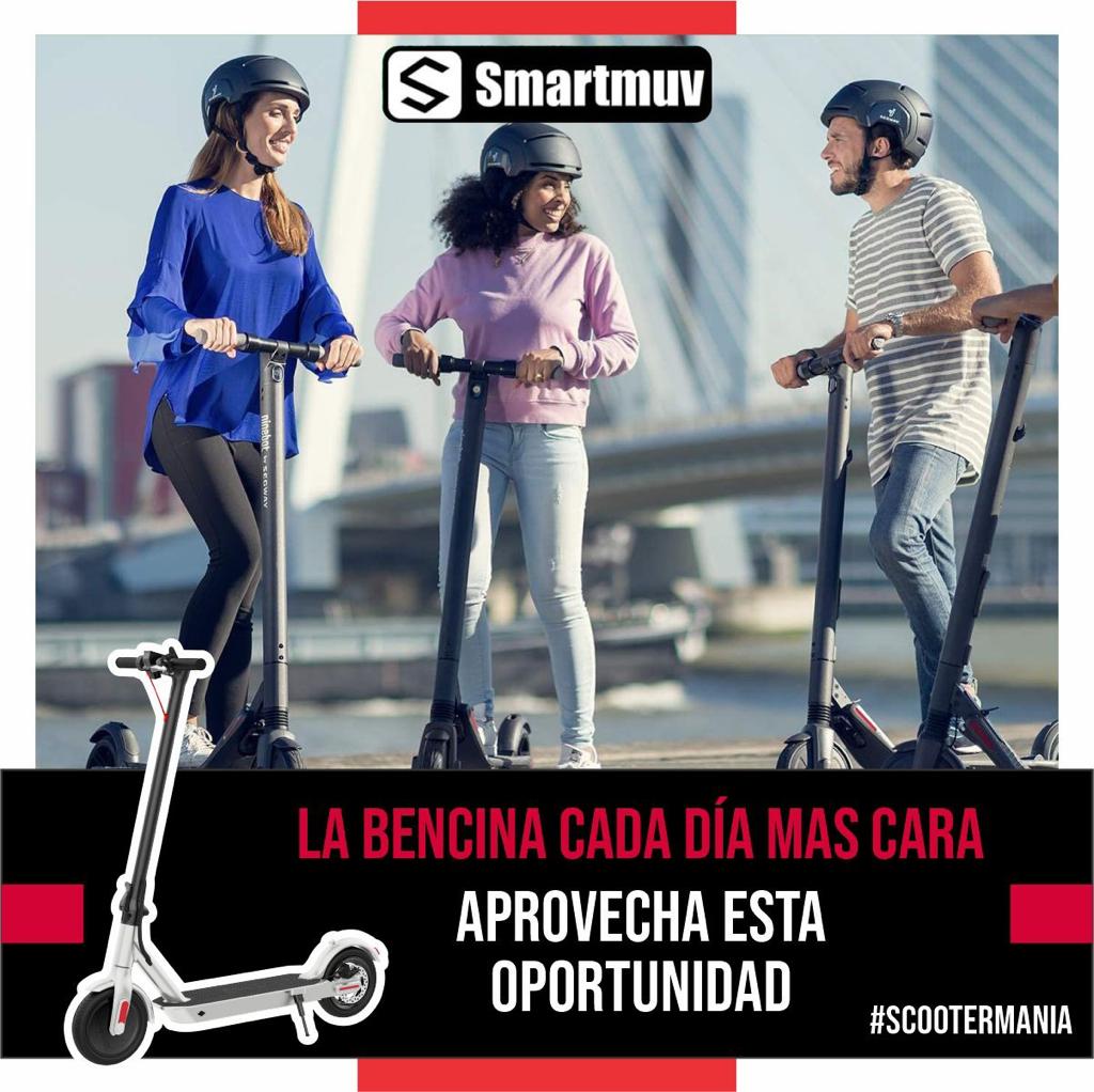 Scooter Eléctrico Profesional 350W