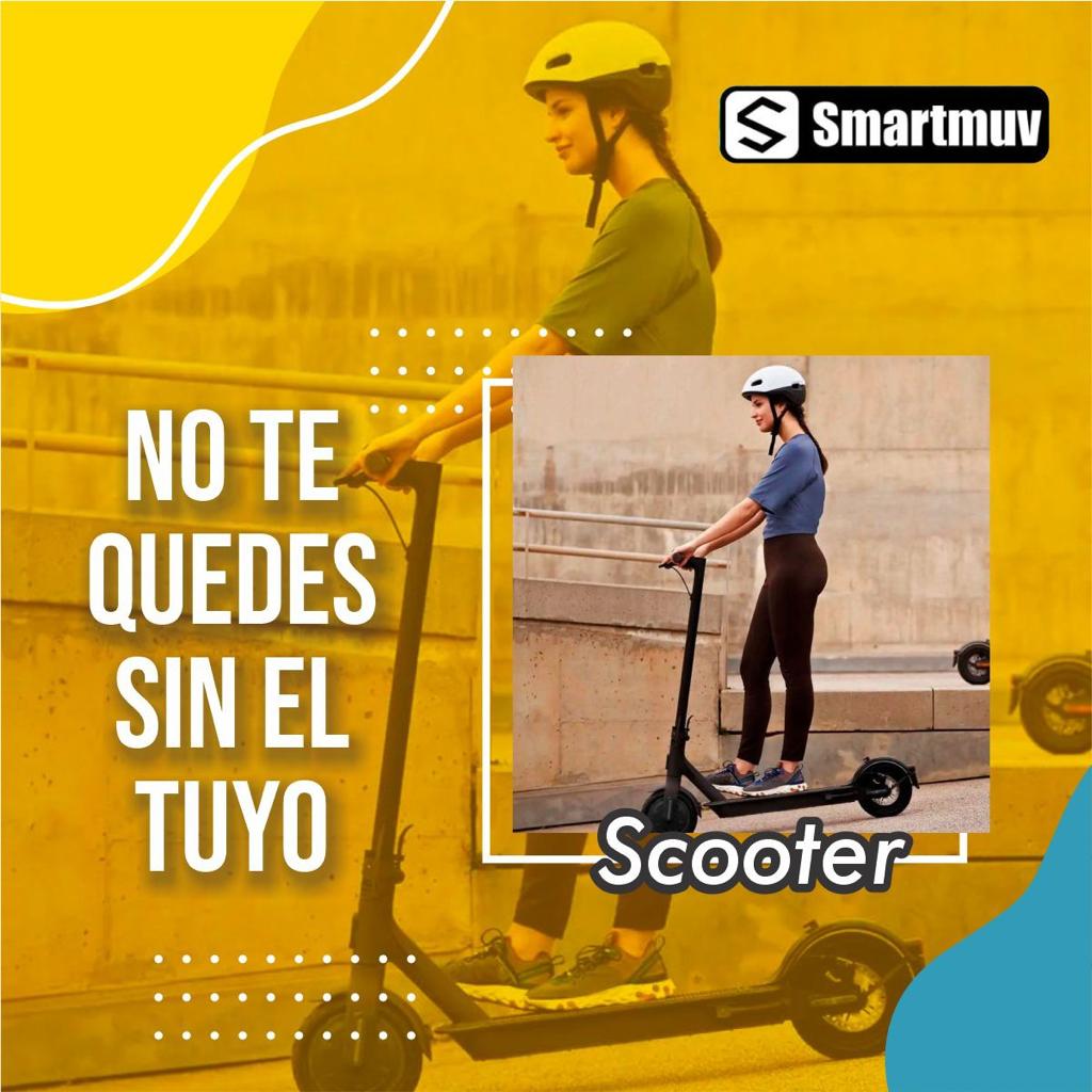 Scooter Eléctrico Profesional 350W