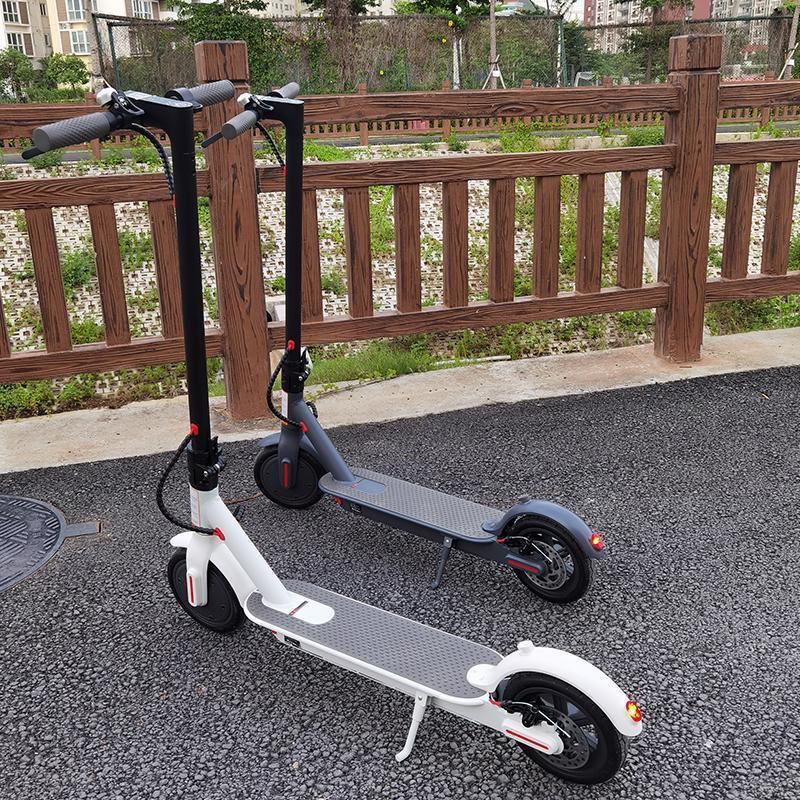 Scooter Eléctrico Profesional 350W