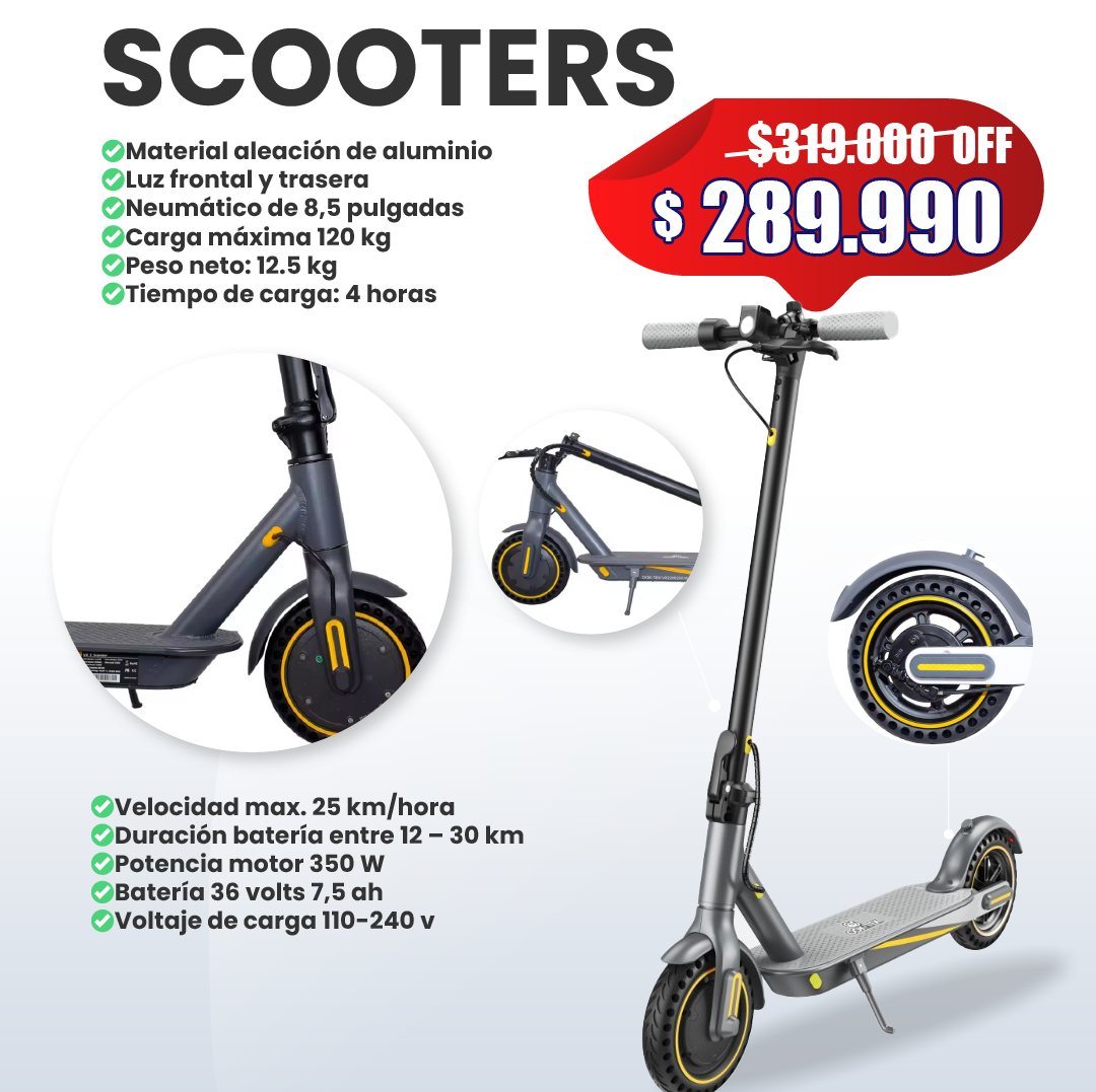 Scooter Eléctrico Profesional 350W