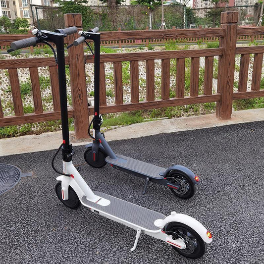 Scooter Eléctrico Profesional 350W